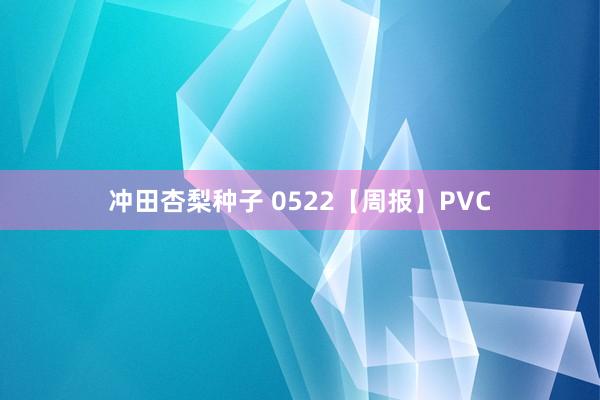 冲田杏梨种子 0522【周报】PVC