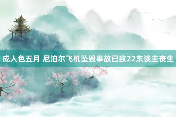 成人色五月 尼泊尔飞机坠毁事故已致22东谈主丧生