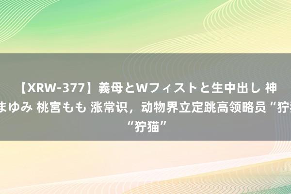 【XRW-377】義母とWフィストと生中出し 神崎まゆみ 桃宮もも 涨常识，动物界立定跳高领略员“狞猫”