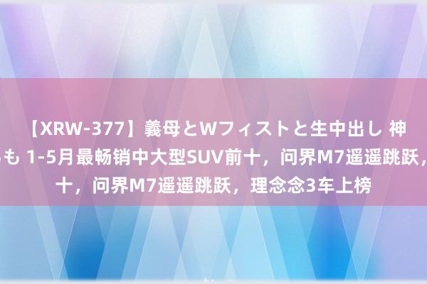 【XRW-377】義母とWフィストと生中出し 神崎まゆみ 桃宮もも 1-5月最畅销中大型SUV前十，问界M7遥遥跳跃，理念念3车上榜