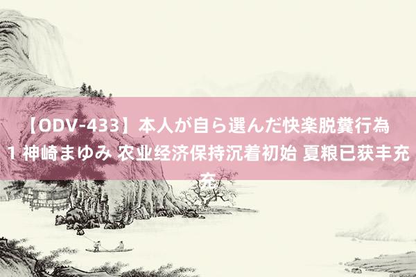 【ODV-433】本人が自ら選んだ快楽脱糞行為 1 神崎まゆみ 农业经济保持沉着初始 夏粮已获丰充