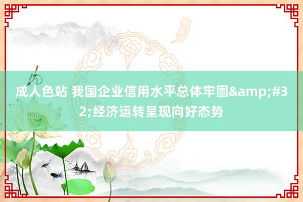 成人色站 我国企业信用水平总体牢固&#32;经济运转呈现向好态势