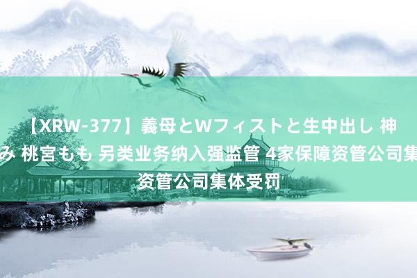 【XRW-377】義母とWフィストと生中出し 神崎まゆみ 桃宮もも 另类业务纳入强监管 4家保障资管公司集体受罚