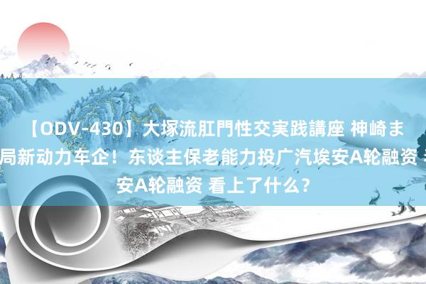 【ODV-430】大塚流肛門性交実践講座 神崎まゆみ 险资入局新动力车企！东谈主保老能力投广汽埃安A轮融资 看上了什么？