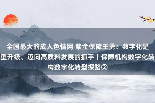 全国最大的成人色情网 紫金保障王勇：数字化是保障业转型升级、迈向高质料发展的抓手丨保障机构数字化转型探路②