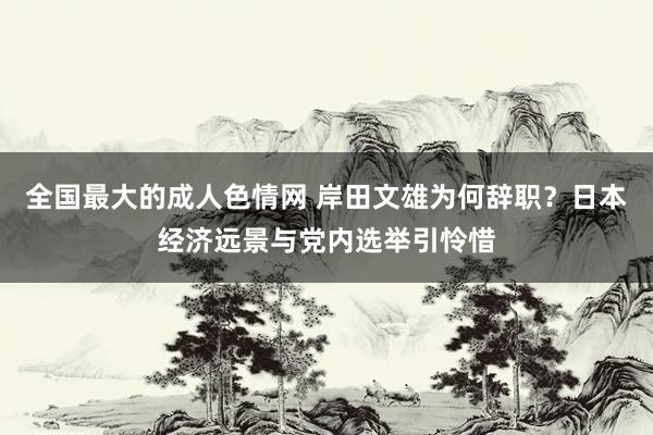 全国最大的成人色情网 岸田文雄为何辞职？日本经济远景与党内选举引怜惜