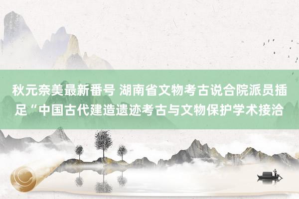 秋元奈美最新番号 湖南省文物考古说合院派员插足“中国古代建造遗迹考古与文物保护学术接洽