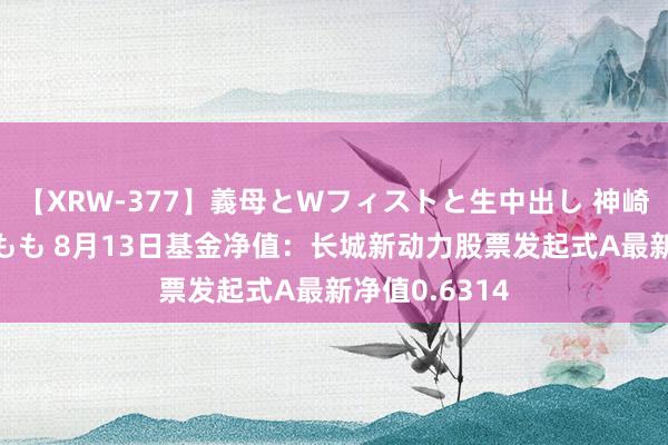 【XRW-377】義母とWフィストと生中出し 神崎まゆみ 桃宮もも 8月13日基金净值：长城新动力股票发起式A最新净值0.6314