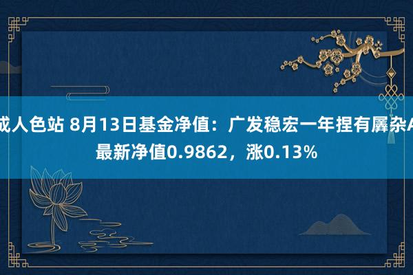 成人色站 8月13日基金净值：广发稳宏一年捏有羼杂A最新净值0.9862，涨0.13%