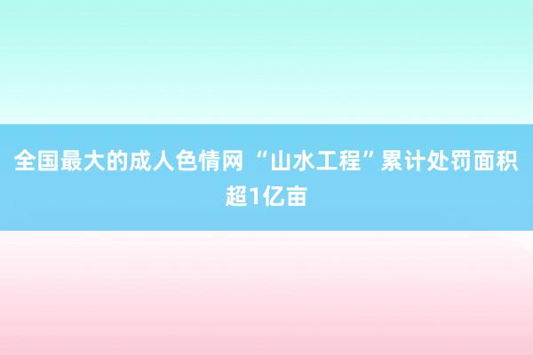 全国最大的成人色情网 “山水工程”累计处罚面积超1亿亩