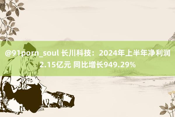 @91porn_soul 长川科技：2024年上半年净利润2.15亿元 同比增长949.29%