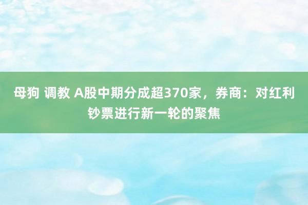 母狗 调教 A股中期分成超370家，券商：对红利钞票进行新一轮的聚焦