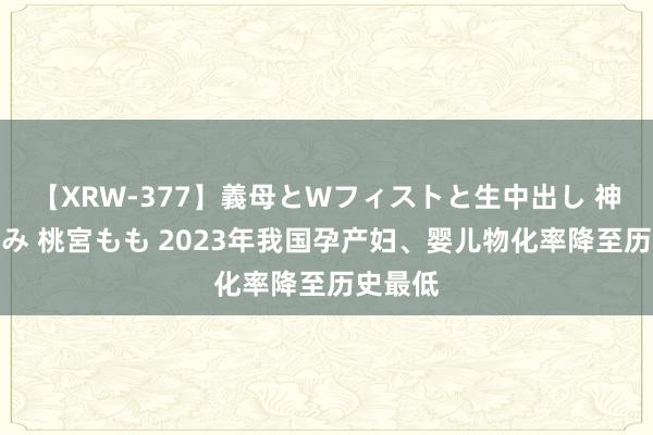 【XRW-377】義母とWフィストと生中出し 神崎まゆみ 桃宮もも 2023年我国孕产妇、婴儿物化率降至历史最低