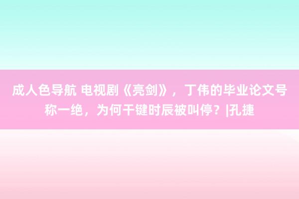 成人色导航 电视剧《亮剑》，丁伟的毕业论文号称一绝，为何干键时辰被叫停？|孔捷