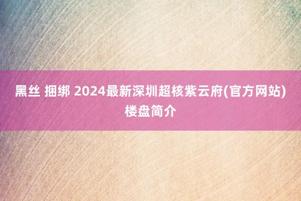 黑丝 捆绑 2024最新深圳超核紫云府(官方网站)楼盘简介