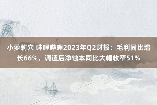 小萝莉穴 哔哩哔哩2023年Q2财报：毛利同比增长66%，调遣后净蚀本同比大幅收窄51%